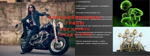 круглые Абаза