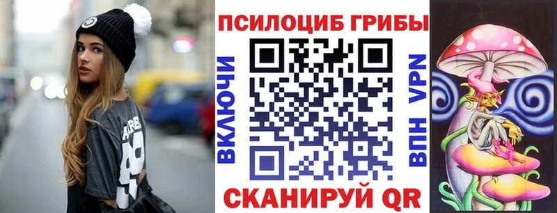 Псилоцибиновые грибы мицелий  OMG как зайти  Ялуторовск 