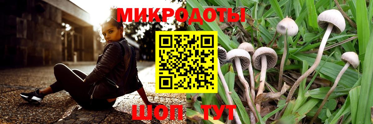 Ялуторовск  Галлюциногенные грибы Psilocybine cubensis  Галлюциногенные грибы Psilocybine cubensis  Вход с VPN 
